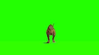Dino Green Screen..