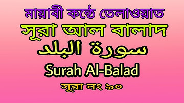 Surah Al-Balad, سورة البلد, সূরা আল বালাদ,৷ All Quran