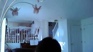 Capture 20110122