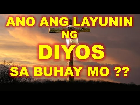 Video: Ano ang pundasyon ng pag-aaral?