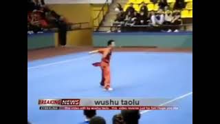 Bisa terbang ( wushu taola )