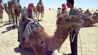 Voyage TUNISIE djerba - Descente du dromadaire