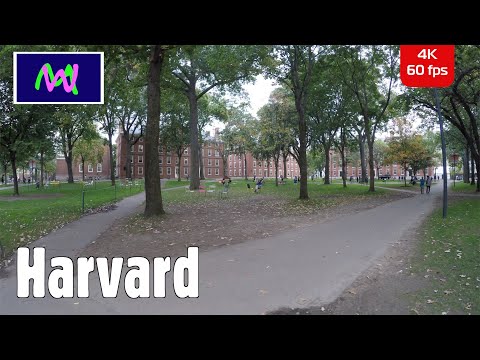 Video: Topactiviteiten in de buurt van Harvard Square, Boston