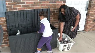 Neenah animal hospital launches free pet pantry to help struggling families