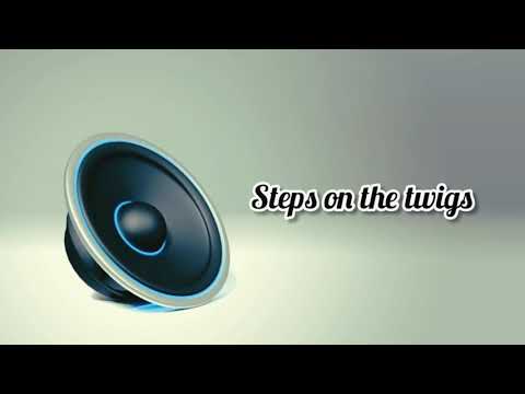 Steps on the twigs - sound effects | sfx | No copyright ( download Link )