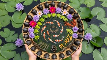 Catch & Release Journey 🌱 Frogs, Fish & Turtles in Untouched Nature