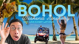 BOHOL 2024 | South Palms Day Use, ATV, Whaleshark and Countryside Tour, Sikatuna & Loboc, Alona