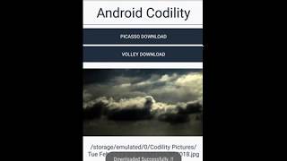 Download Image URL Picasso/Volley Android