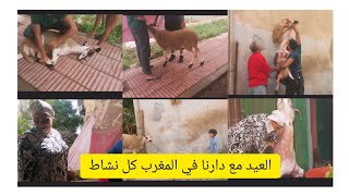 العيد  الاضحى فالمغرب مكينش بحالو/ كليت لمعمرني كليتو