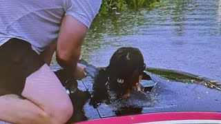 FDNY firefighter rescues principal from flooded car in Queens: 'Superhero'