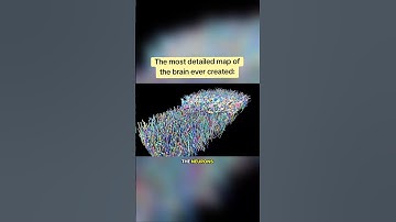 The Highest Detail Brain Map Ever #neuroscience #microscope