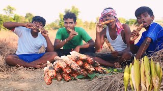 বাগানের ভুট্টা পোড়া || Garden corn burnt