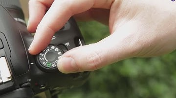 Understanding Shutter Priority - How to Use Your Camera, Part 4