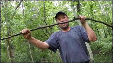 Part 2 of primitive trap series treadle snare