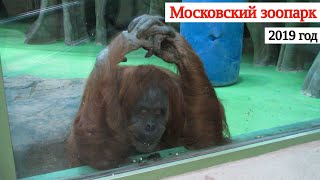 Московский зоопарк 2019 год