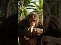 Life Million Years Ago | Hominid History Hub | The Struggle for Survival in Prehistoric Times #59