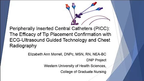 DNP Presentation: Elizabeth Morrell