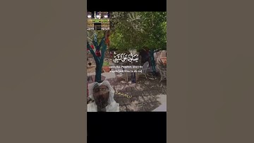 إنّ الله وملائكته يصلون على النبي #تجويدعراقي  نعمةالحسان