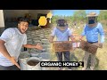 How is Honey Produced by Bee ? | Honey Bee Farming
