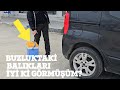 BUZLUKTAKİ BALIKLARI GÖRMEK MÜKEMMELDİ?