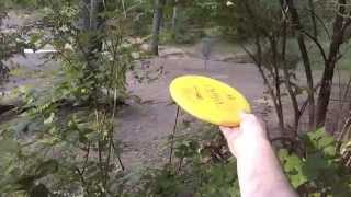 Lincoln Ridge DGC #9: Birdie Window