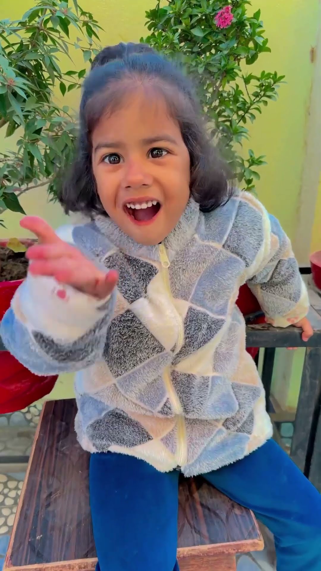 Kabootari ❤️? #shorts #viralvideo #dance #funny #comedy #trending