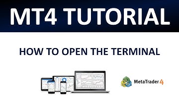 MT4 Tutorial | How To Open The Terminal