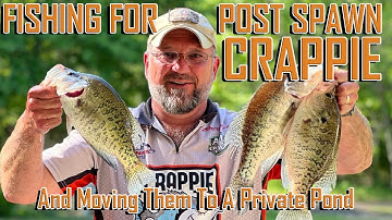 FISHING FOR POST SPAWN CRAPPIE And Moving Them To A New Lake, EP 3822