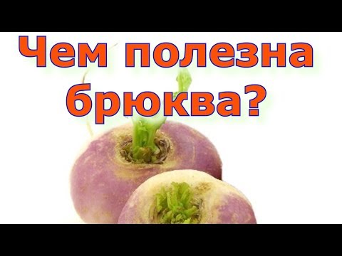 Чем полезна брюква?