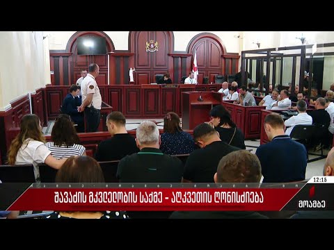 შავაძის მკვლელობის საქმე - აღკვეთის ღონისძიება