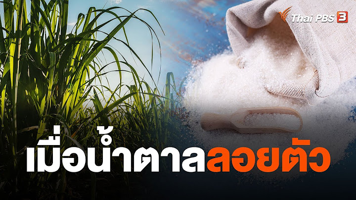 เมื่อน้ำตาลลอยตัว | จับสัญญาณเศรษฐกิจ | 30 ต.ค. 66