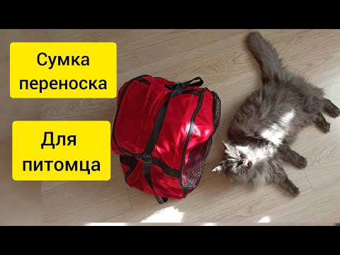 Как сшить для кошки сумку переноску для