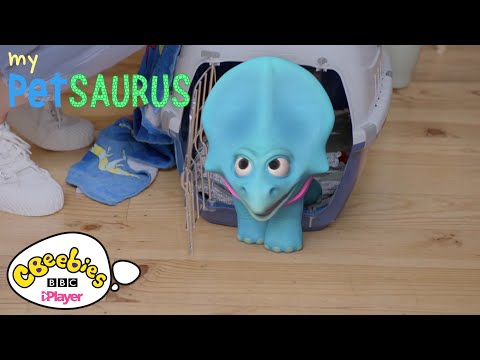 My Petsaurus Top 10 Tips! | CBeebies