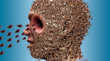 Deep Cleaning Animation - ASMR Removing Ticks, Maggots and insects from Face