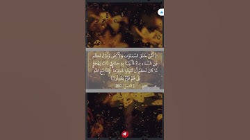 ياسر الدوسري سورة النمل الأيه ٦٠