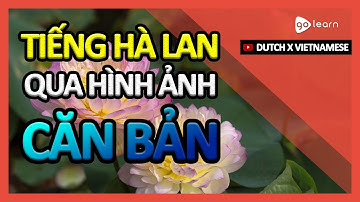 Học Tiếng Hà Lan Qua Hình Ảnh |Từ Vựng Tiếng Hà Lan Căn Bản | Golearn