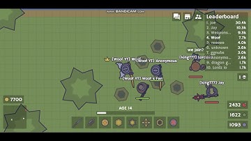 moomoo.io: Playing with my Fans (Anonymous, Woof