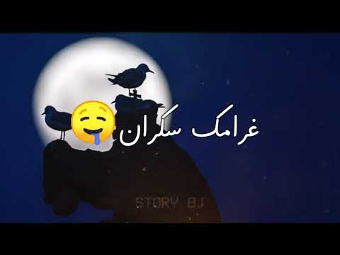 نتي عمري العلم 