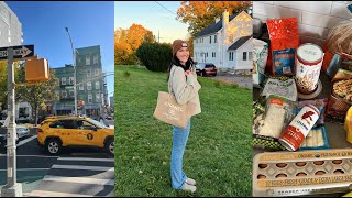 VLOG: trader joes haul, apple picking, picnic!  weekend in my life in NYC!