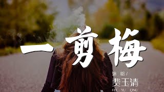 一剪梅 - 費玉清『雪花飄飄北風蕭蕭』【動態歌詞Lyrics】
