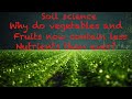 Lack of minerals in our food (soil science )