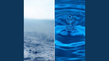 Opulent Backdrops for Storms and Studies