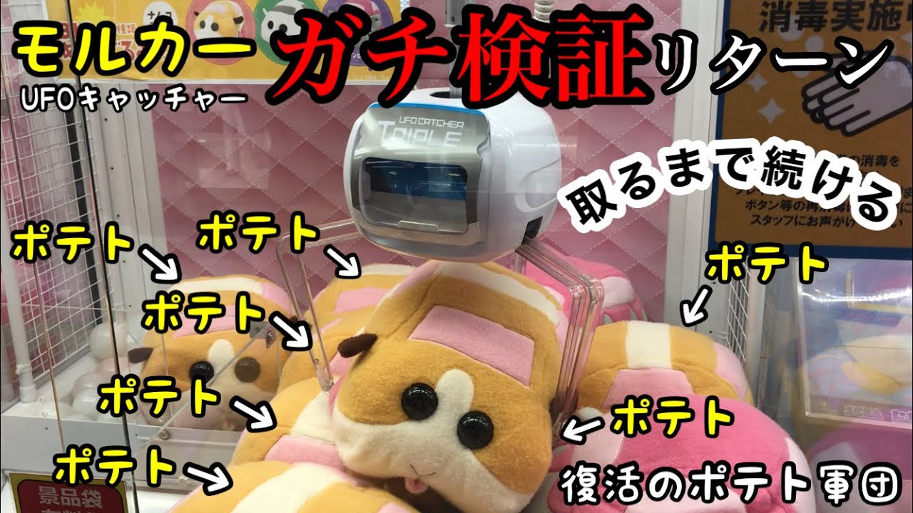 大人気 緊急復活 Pui Puiモルカー ポテト Ufoキャチャーの闇を暴く ぬいぐるみ ｸﾚｰﾝｹﾞｰﾑ 検証 天竺鼠車車 Youtube