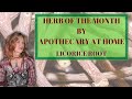 Herb of the Month Subscription Box by Apothecary at Home / Licorice