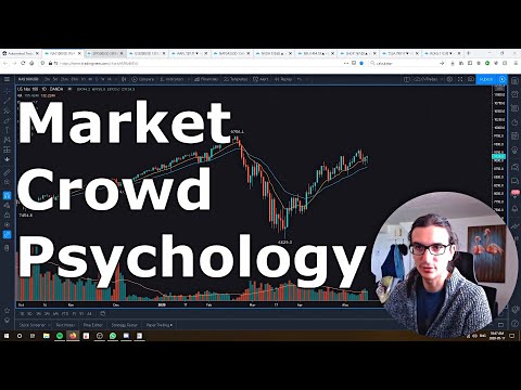Stock Market Crowd Psychology (Examples of herd mentality and impulsive decisions)
