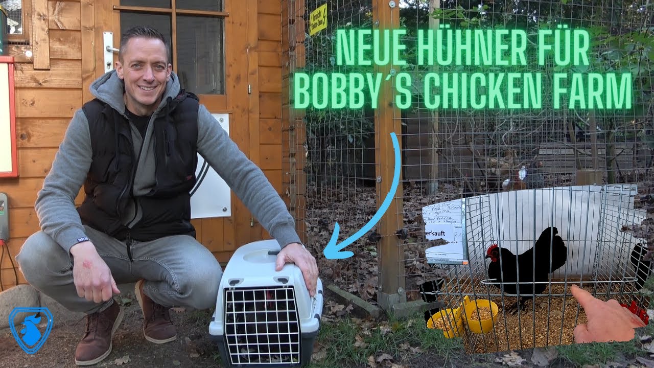 Neue Hühner für Bobby´s Chicken Farm - Treffen mit Youtuber Martin