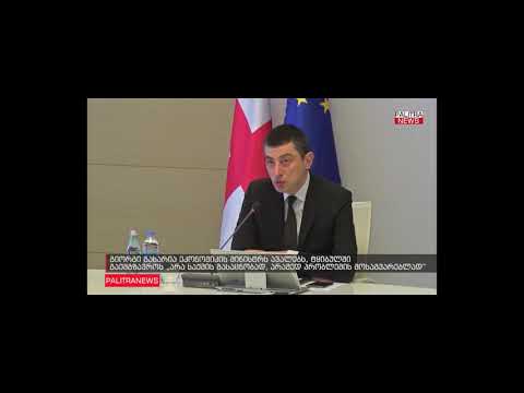 გიორგი გახარიამ  ნათია თურნავას ტყიბულში შექმნილი \"პრობლემის მოგვარება\" დაავალა