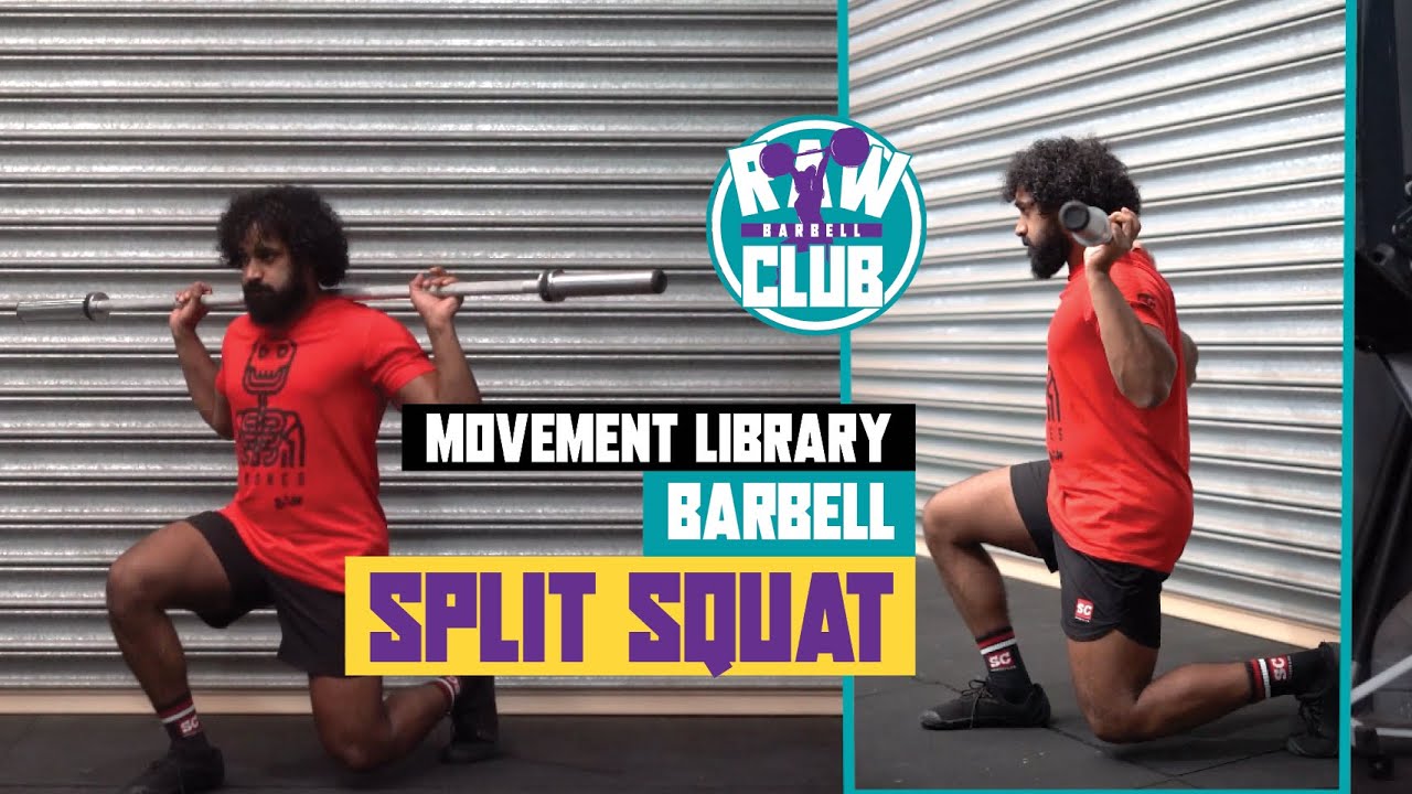 Barbell Split Squat - CrossFit & General Strength Exercise Library ...