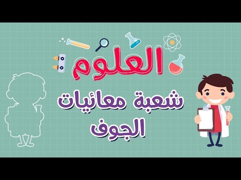 العلوم شعبة الإسفنجيات شعبة معائيات الجوف