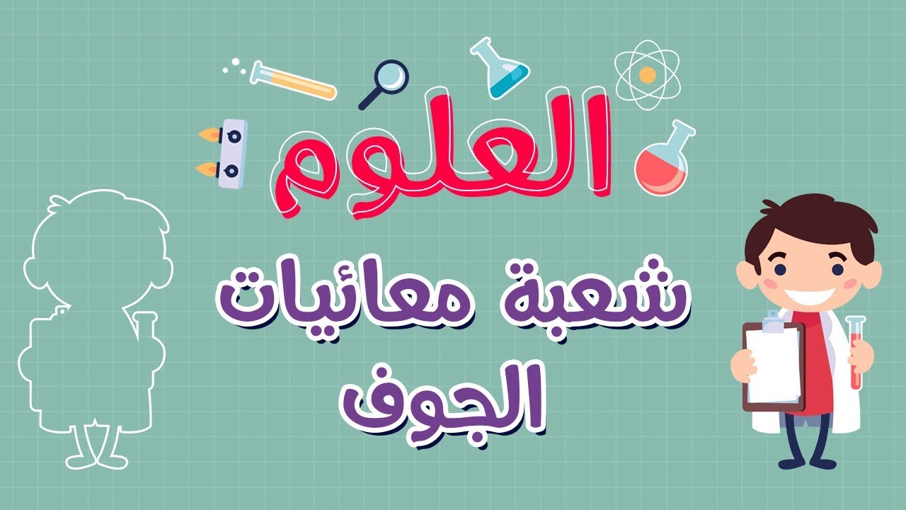 العلوم | شعبة الإسفنجيات | شعبة معائيات الجوف